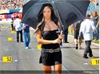 MotoGP grid girls