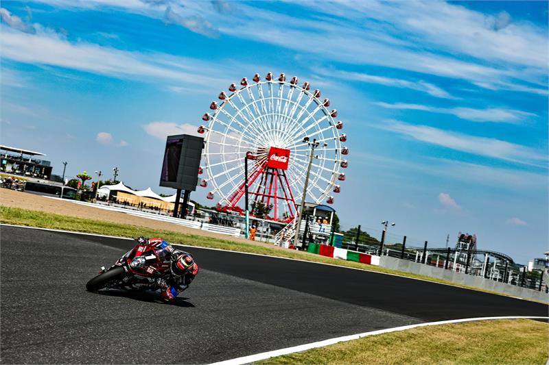 Gregg Suzuka 2025